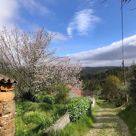 House Of The Three Marias Bed and Breakfast Pedrogao Grande Exterior foto